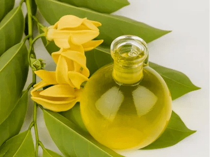 Aromaterapia për të përmirësuar fuqinë